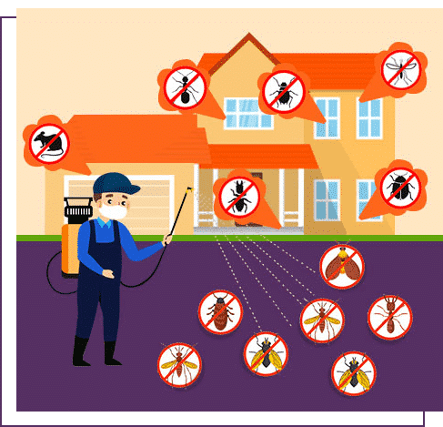 Pest Control Services In Mumbai